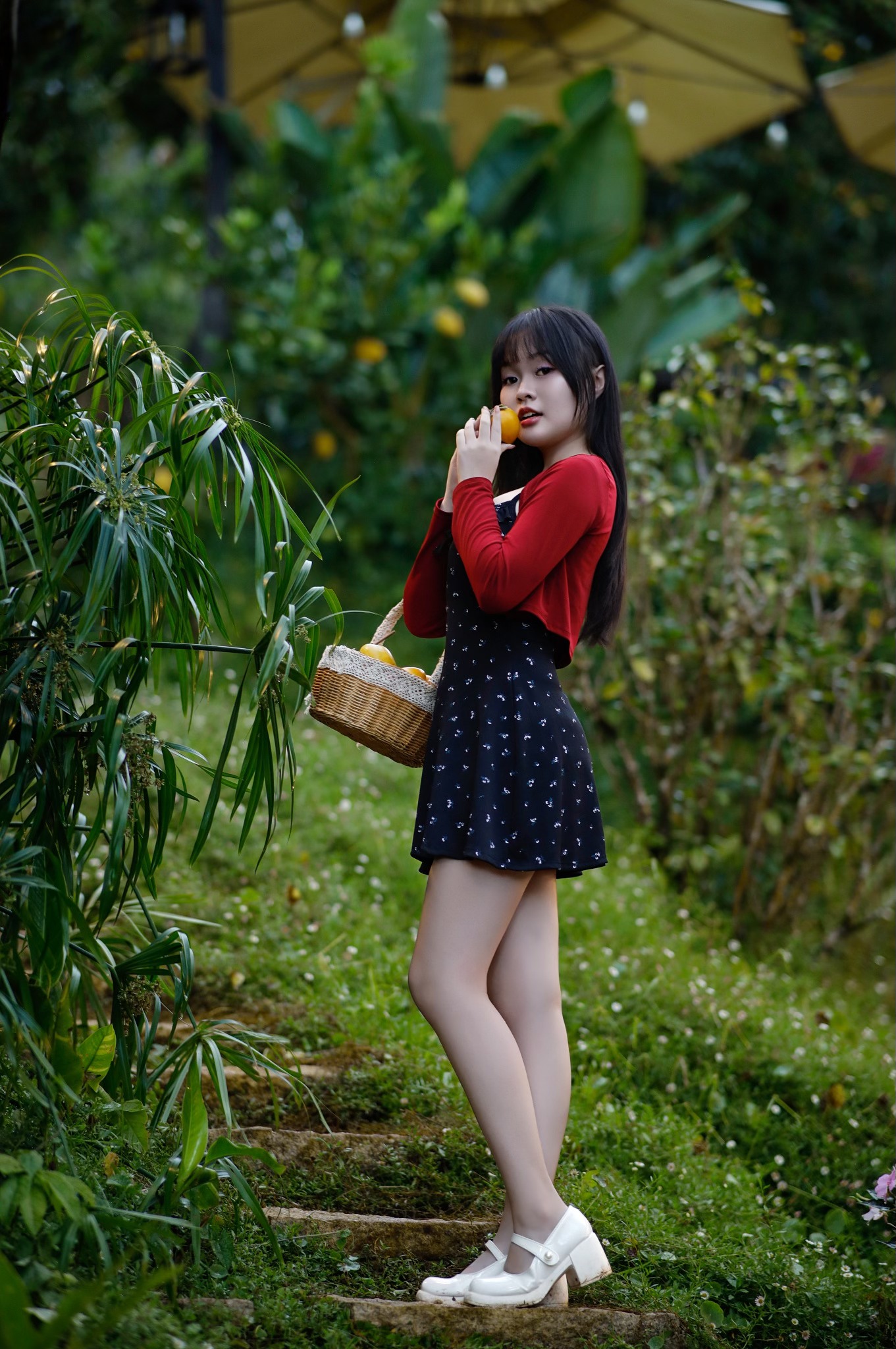 Mùa Hồng